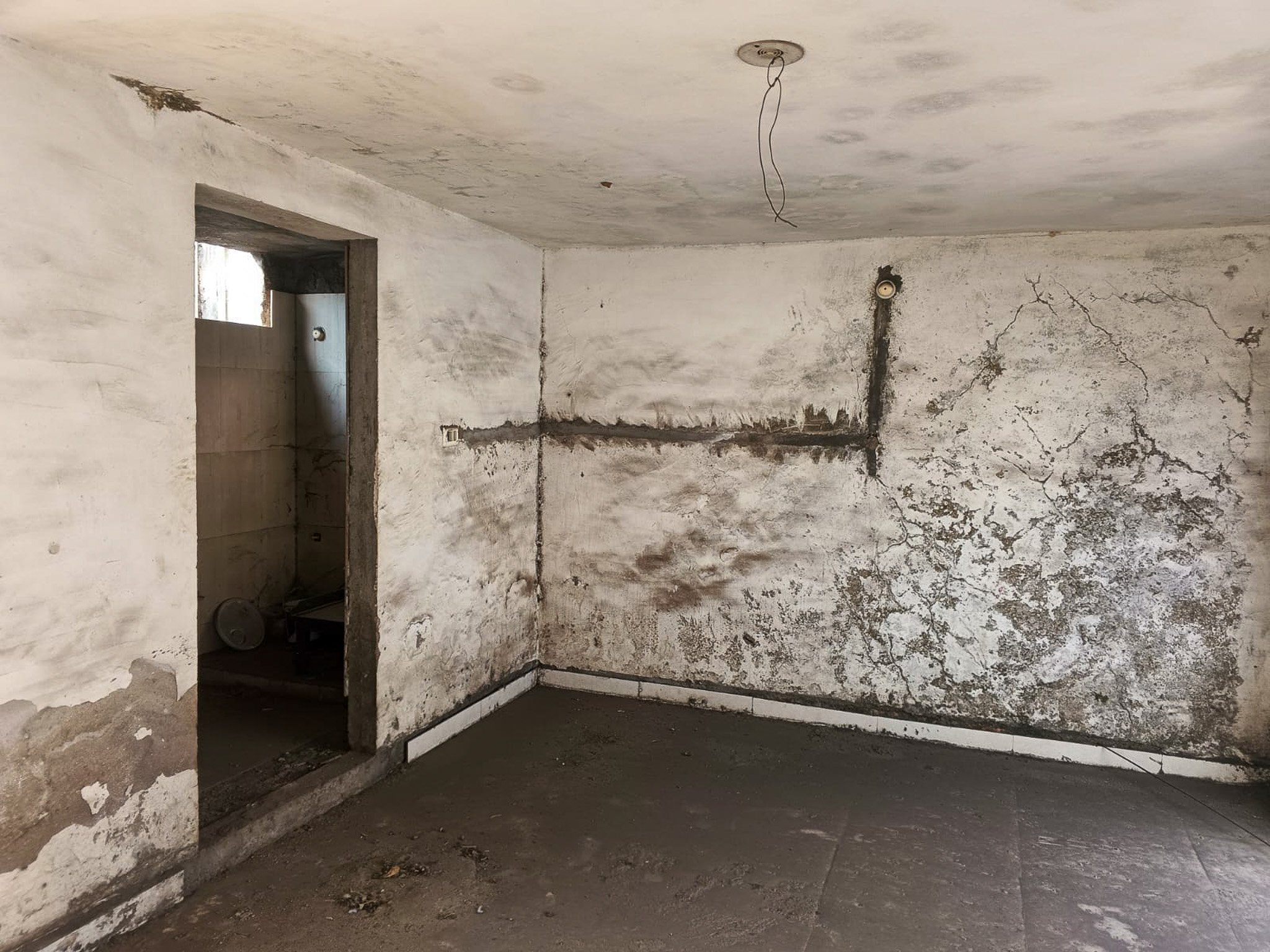 1257.41 square feet Flat for sale in Raipur Daldal Seoni Raipur — photo 5