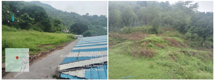 VACANT PLOT for sale in Parwanoo — photo 3