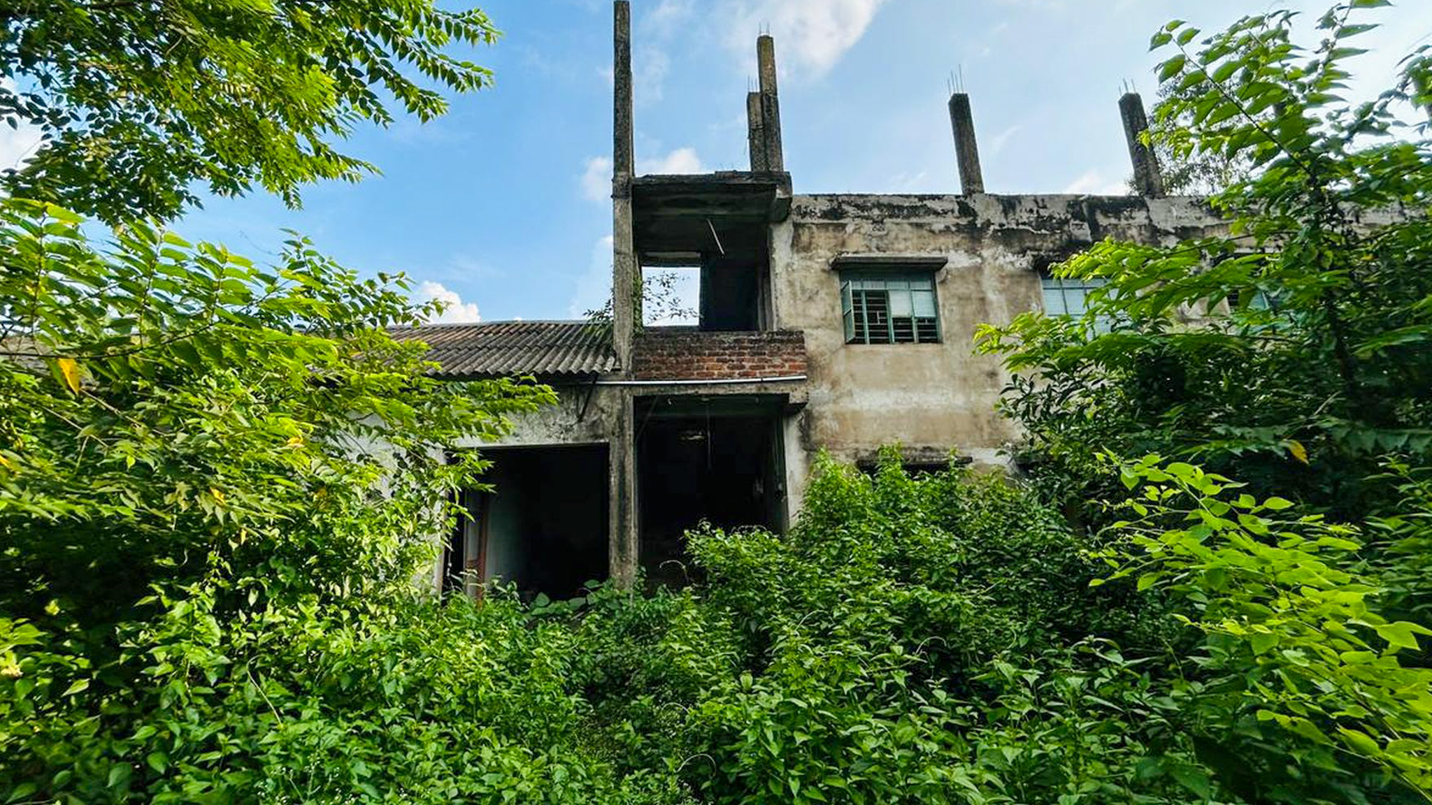 Industrial Plot with Factory Building for sale in Guskara — photo 2