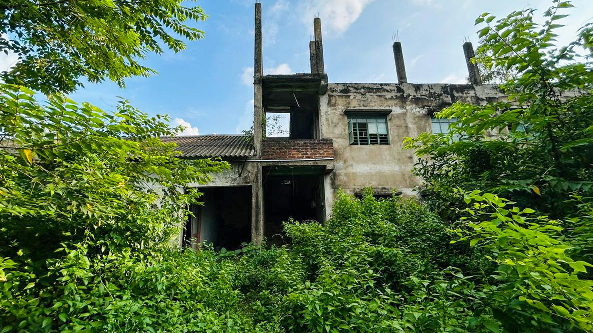 Industrial Plot with Factory Building for sale in Guskara — photo 3