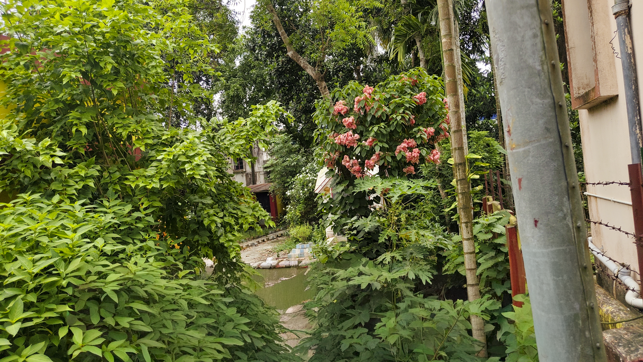 6642.9 square feet Individual House for sale in Chakdah Chakdaha — photo 2