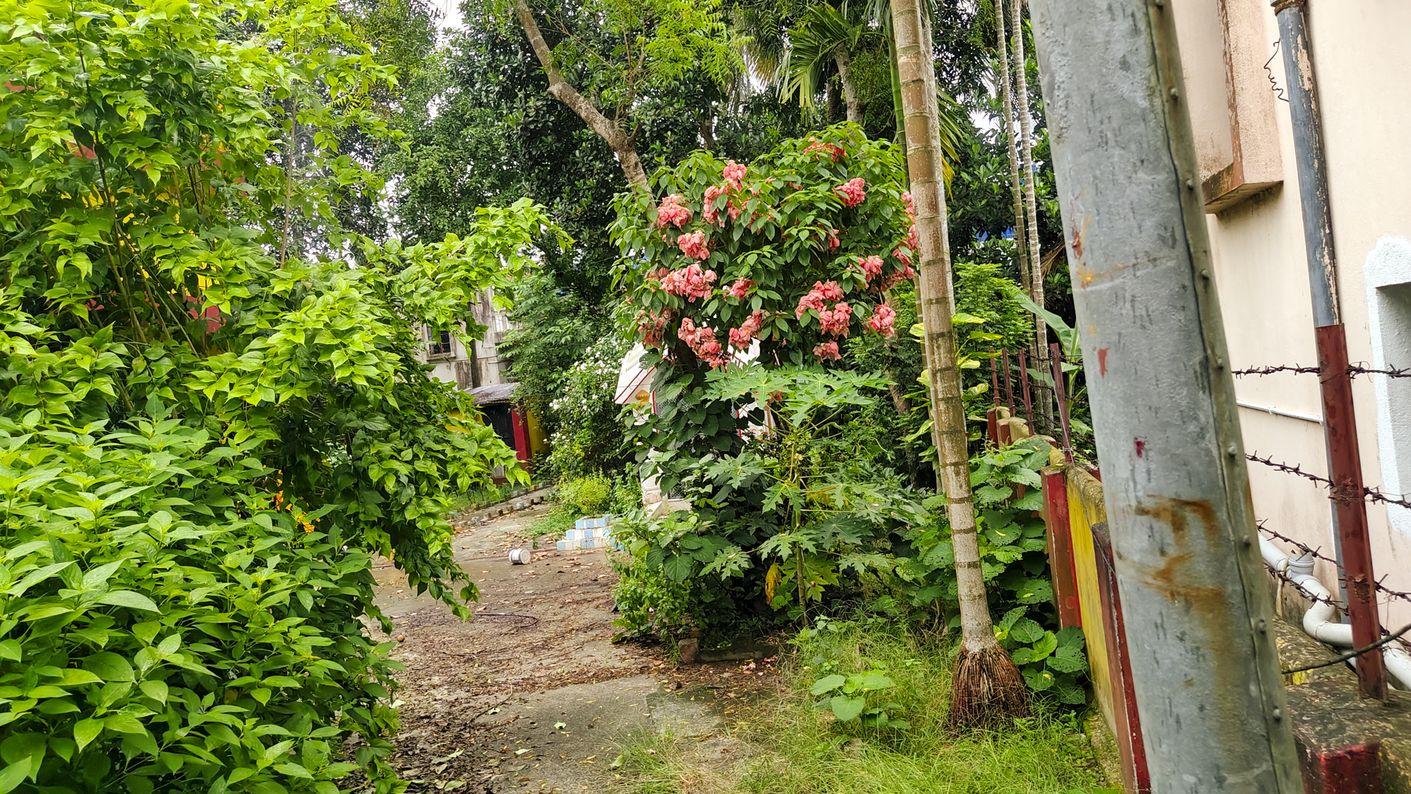 6642.9 square feet Individual House for sale in Chakdah Chakdaha — photo 9