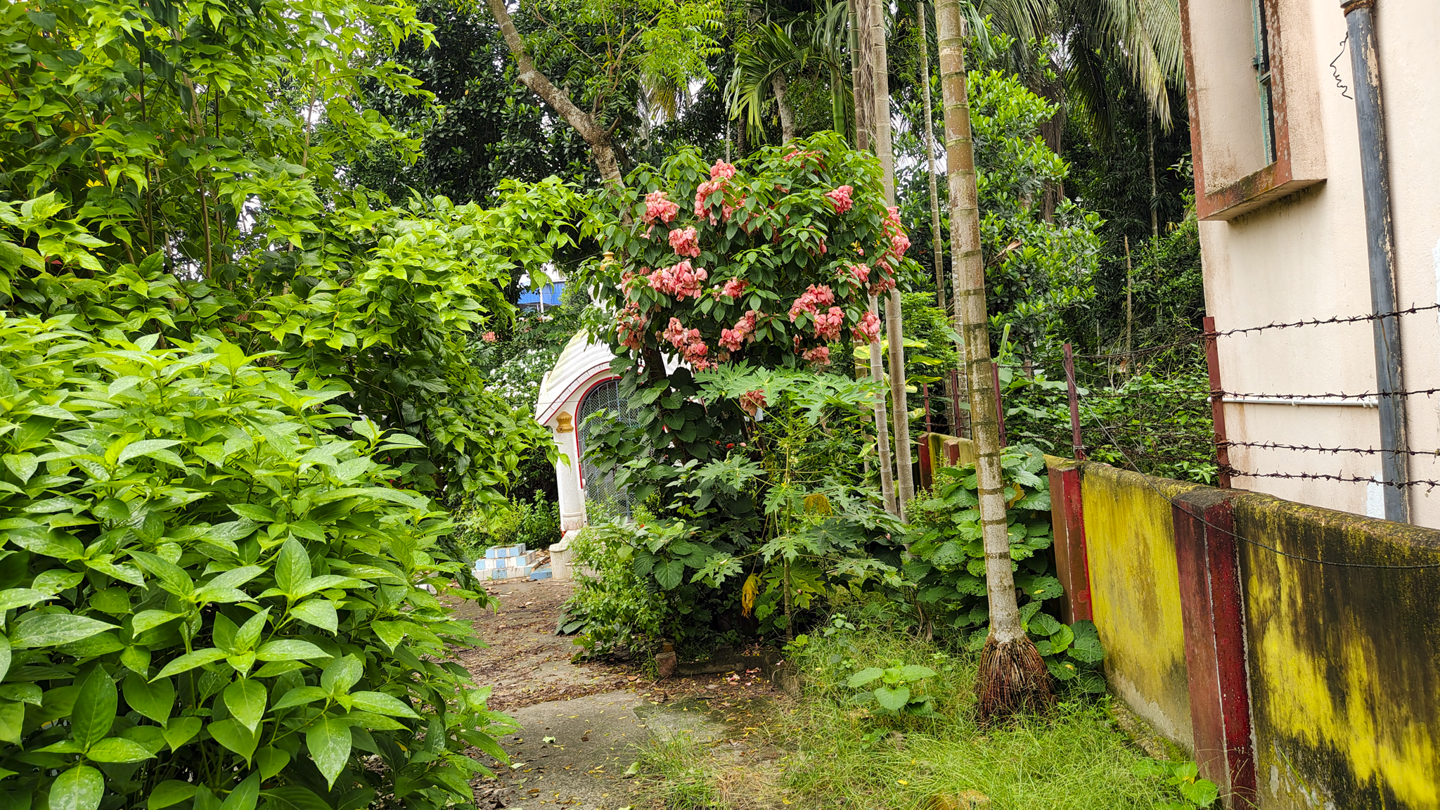 6642.9 square feet Individual House for sale in Chakdah Chakdaha — photo 11