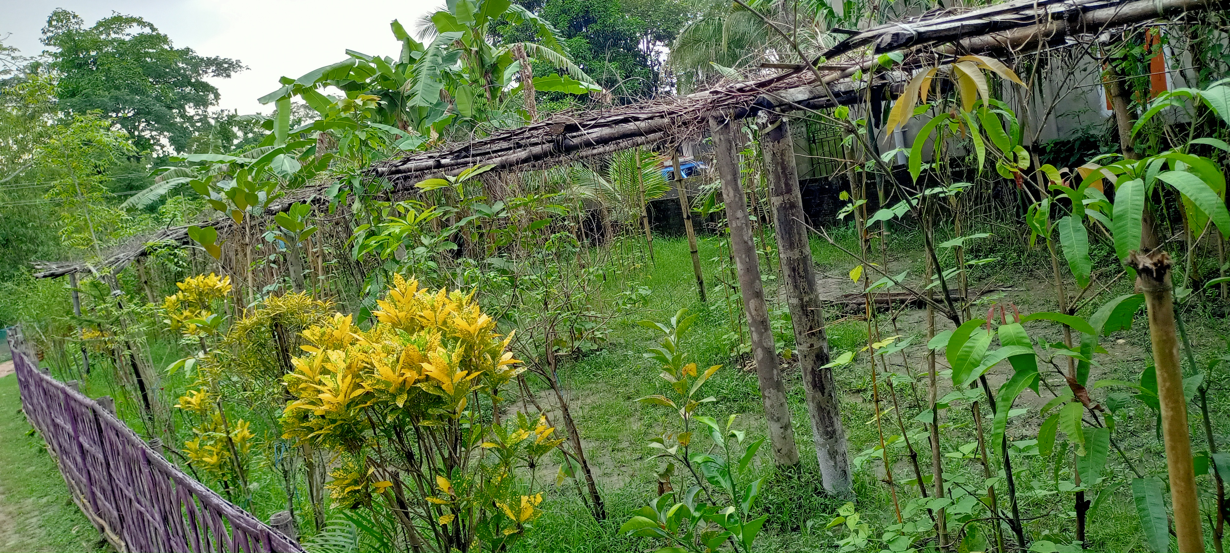Individual House for sale in Karimganj — photo 1