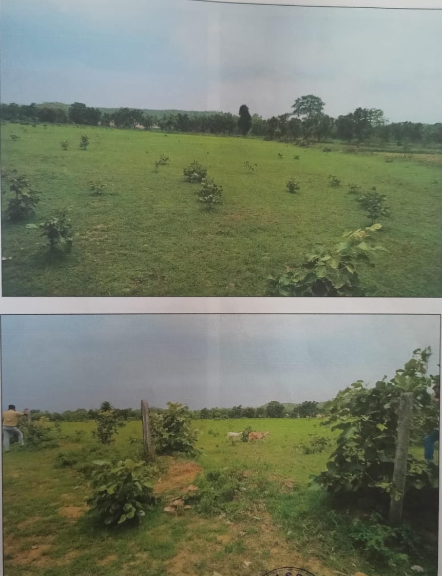 Plot for sale in LALBURRA BALAGHAT MP Garra — photo 3