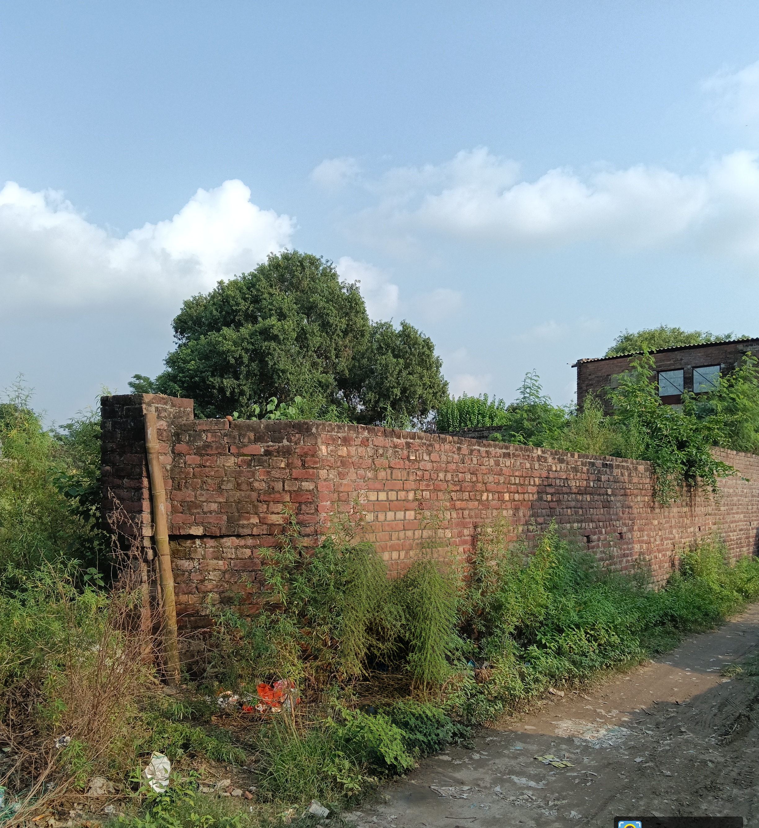 LAND for sale in Indora — photo 3