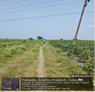 Dry land for sale in SATTENAPALLI Sattenapalle — photo 1