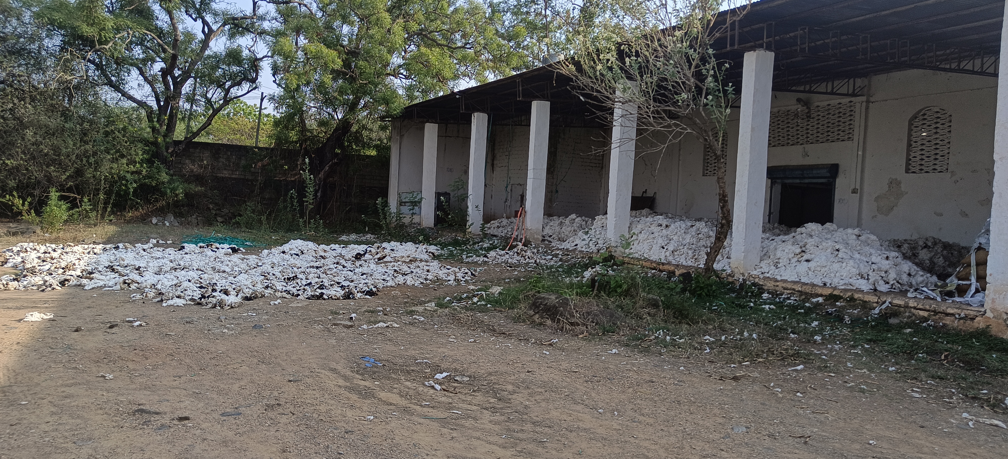 Industrial Plot with Factory Building for sale in Byadgi — photo 1