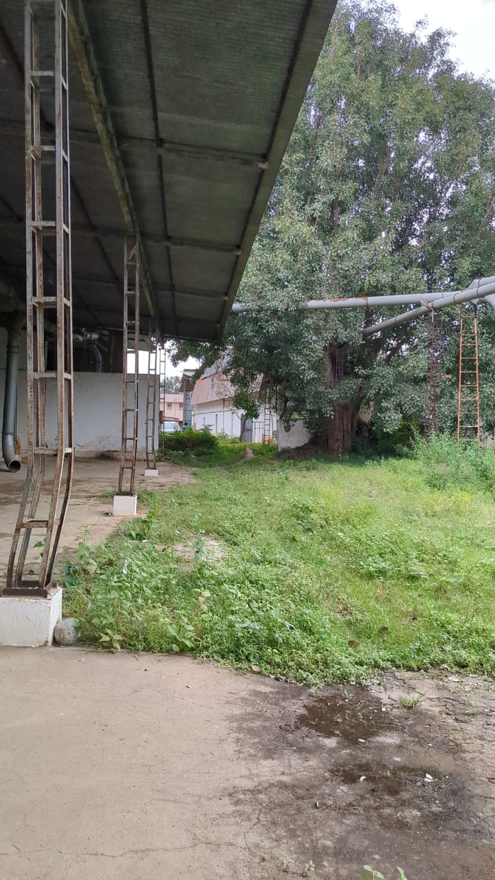 Industrial Plot with Factory Building for sale in Byadgi — photo 3