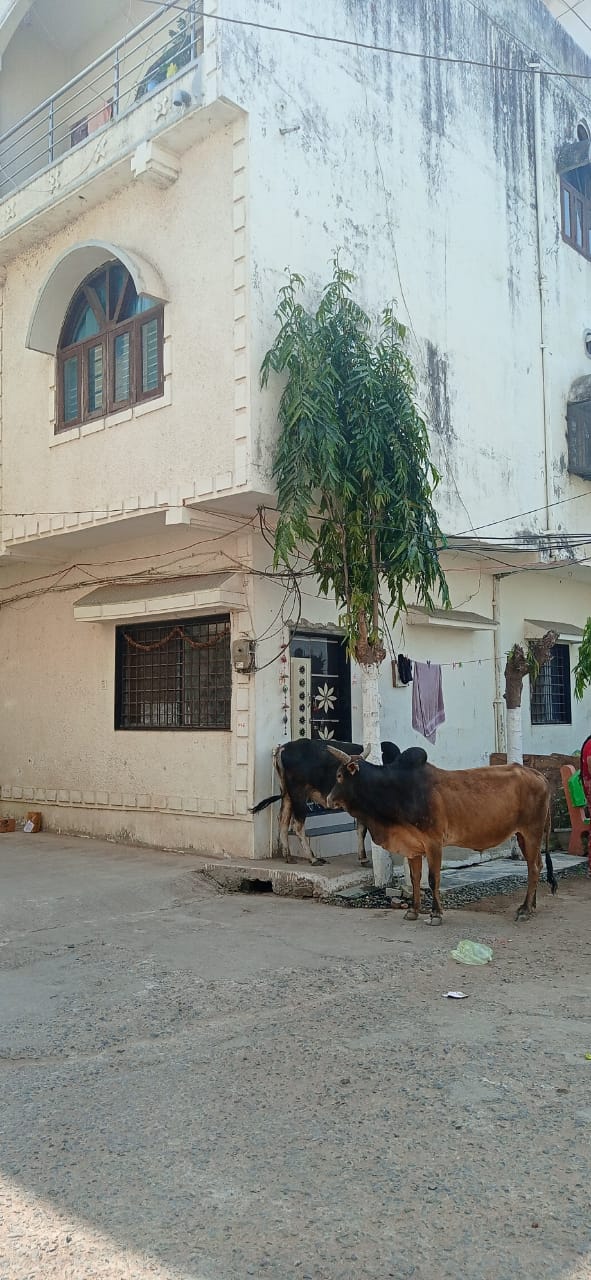Individual House for sale in Pipariya — photo 1