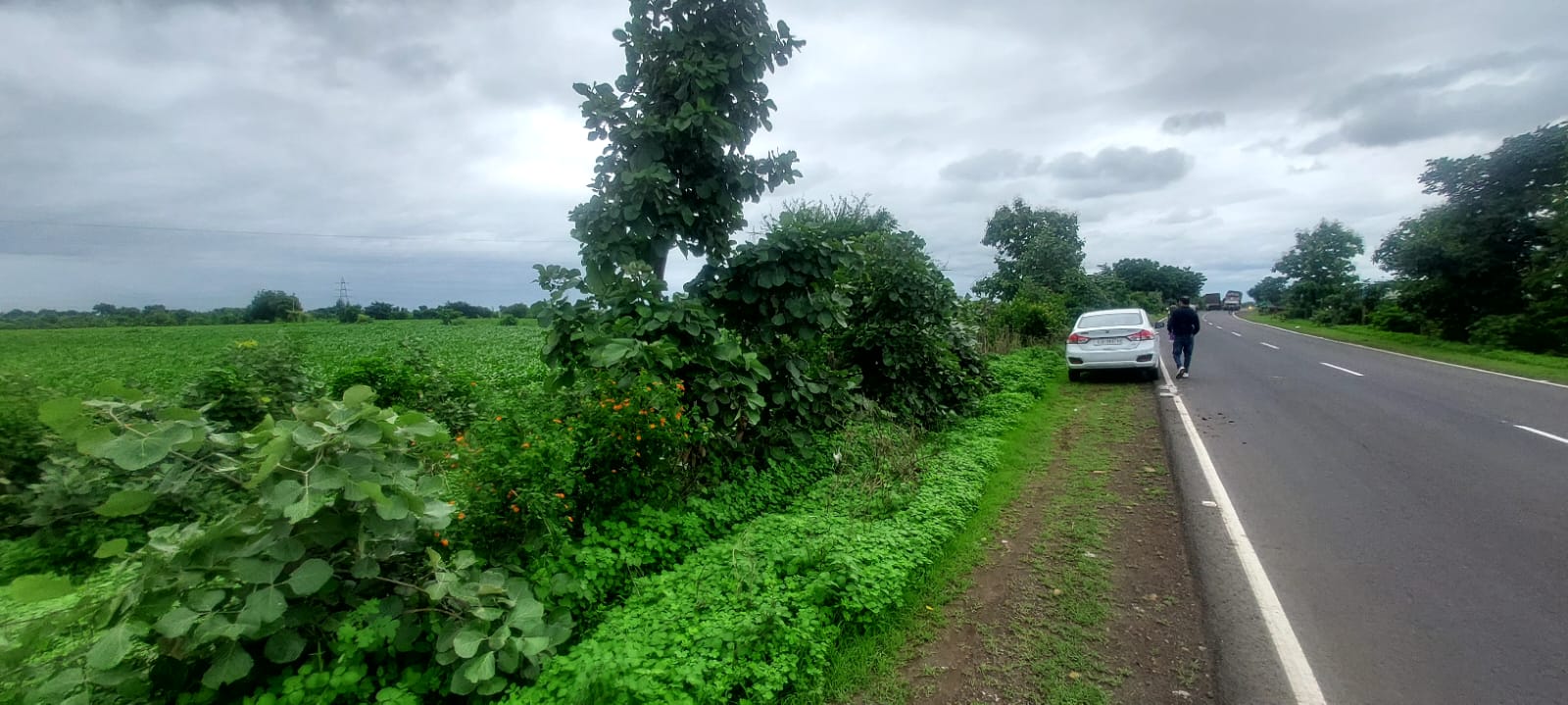 23580 square meter Plot for sale in Bhikangaon — photo 13