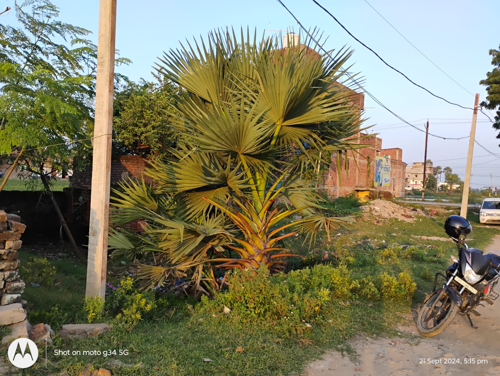 680 square feet Plot for sale in Gaya — photo 4