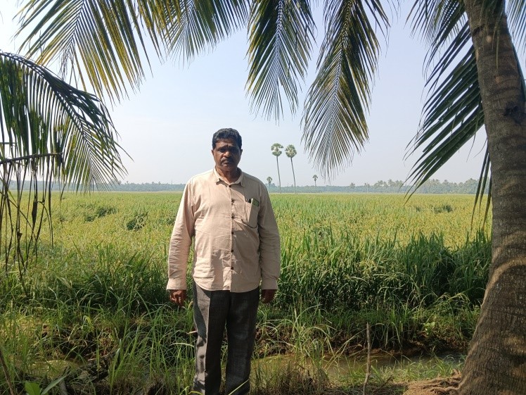 NON AGRI LAND for sale in Peddapuram — photo 1