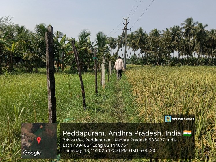 NON AGRI LAND for sale in Peddapuram — photo 1