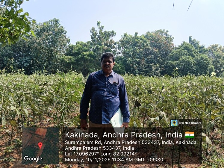 NON AGRI LAND for sale in Peddapuram — photo 1