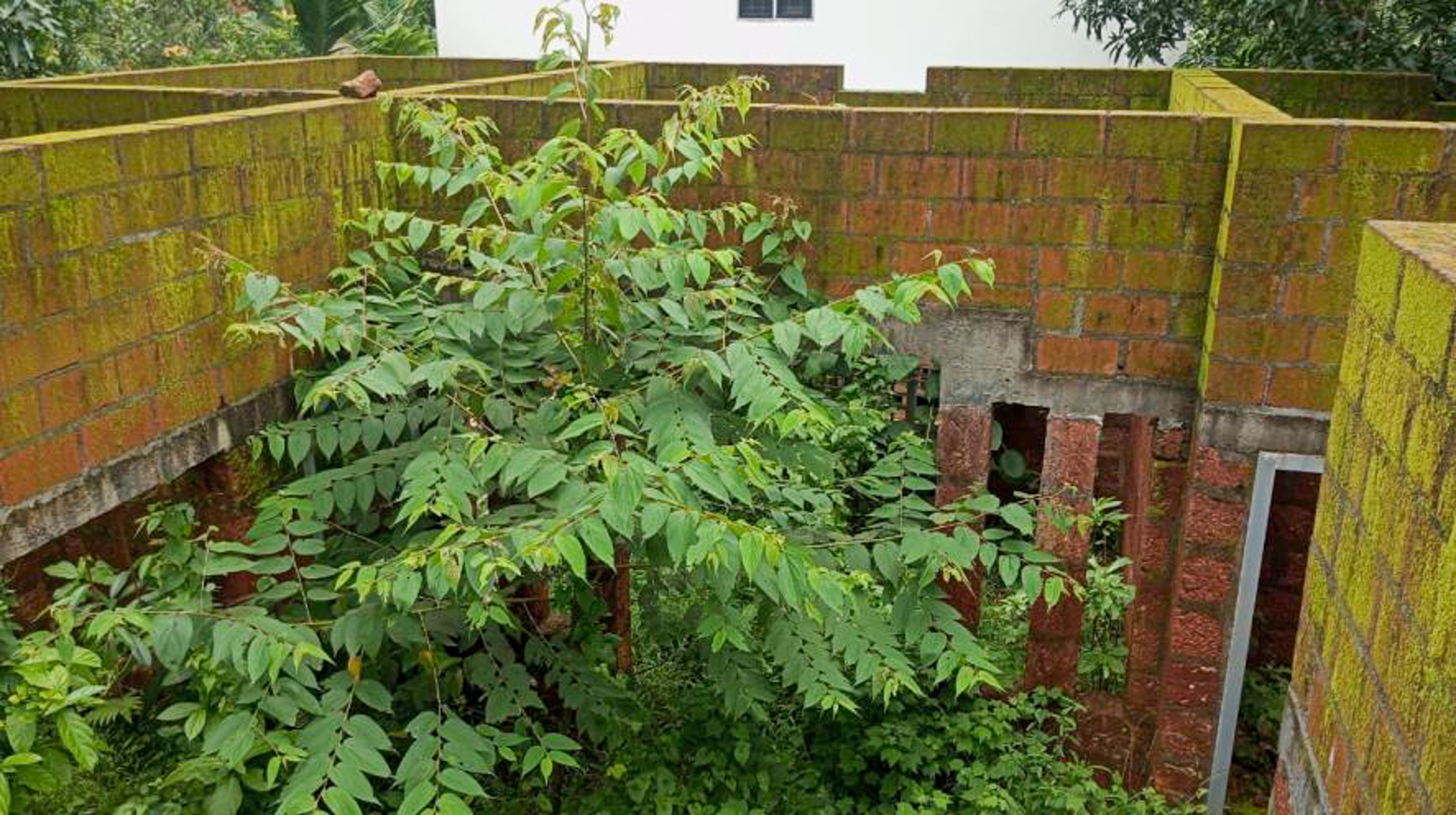 4 BHK Individual House for sale in Kannamangalam — photo 2