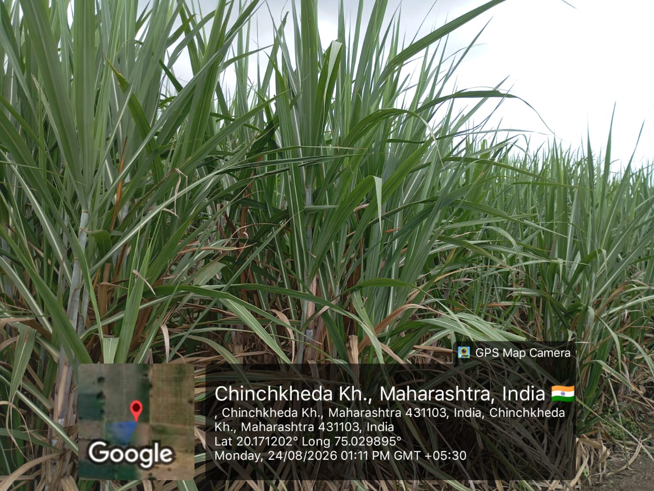 Agriculture Land for sale in Kannad — photo 3