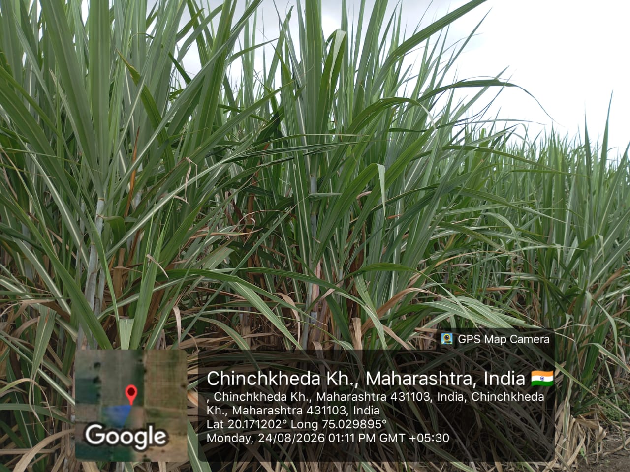 Agriculture Land for sale in Kannad — photo 1