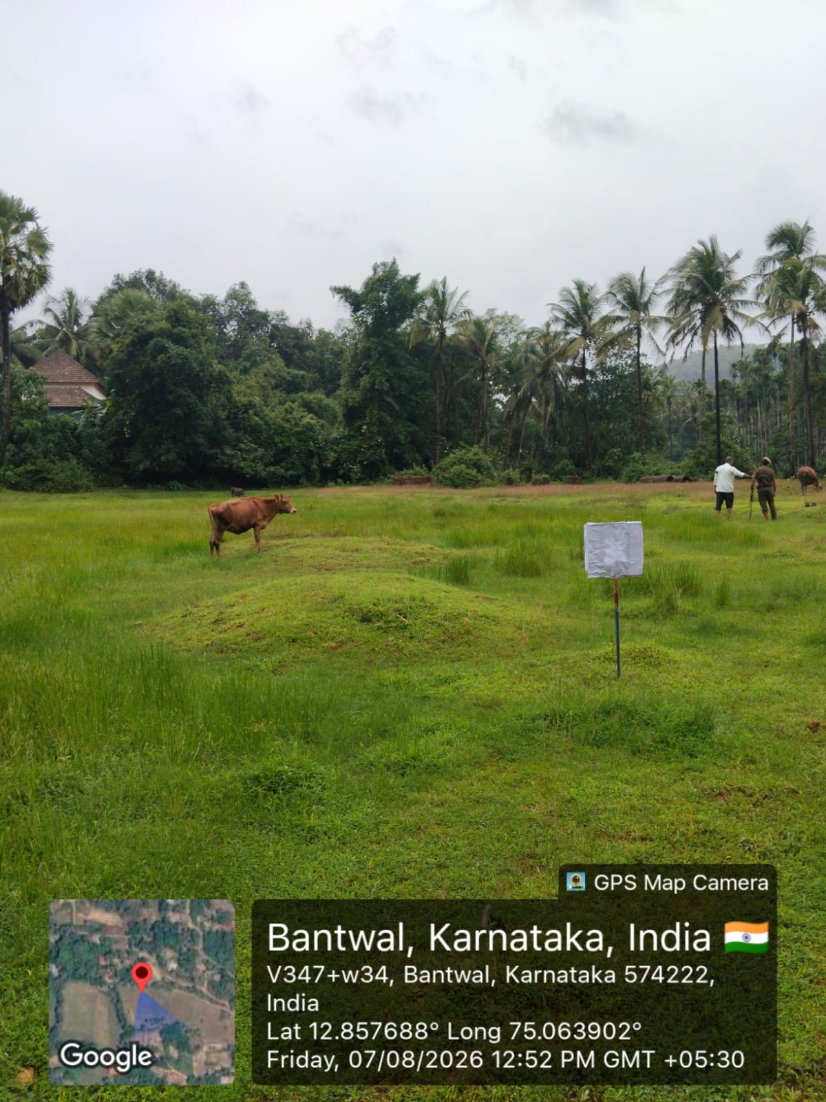 vacant plot for sale in bantwal Narikombu — photo 4