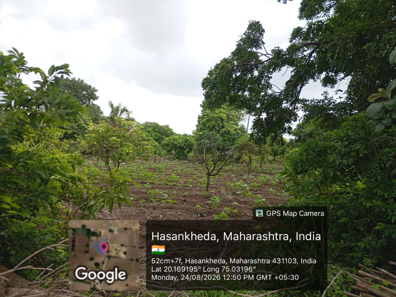 Agriculture Land for sale in Kannad — photo 2