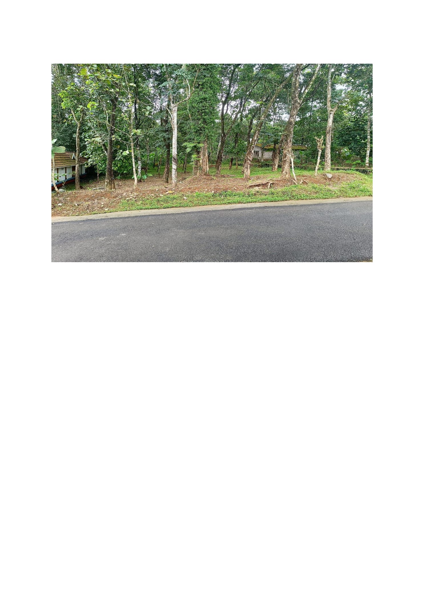 Plot for sale in Udumbannoor — photo 1