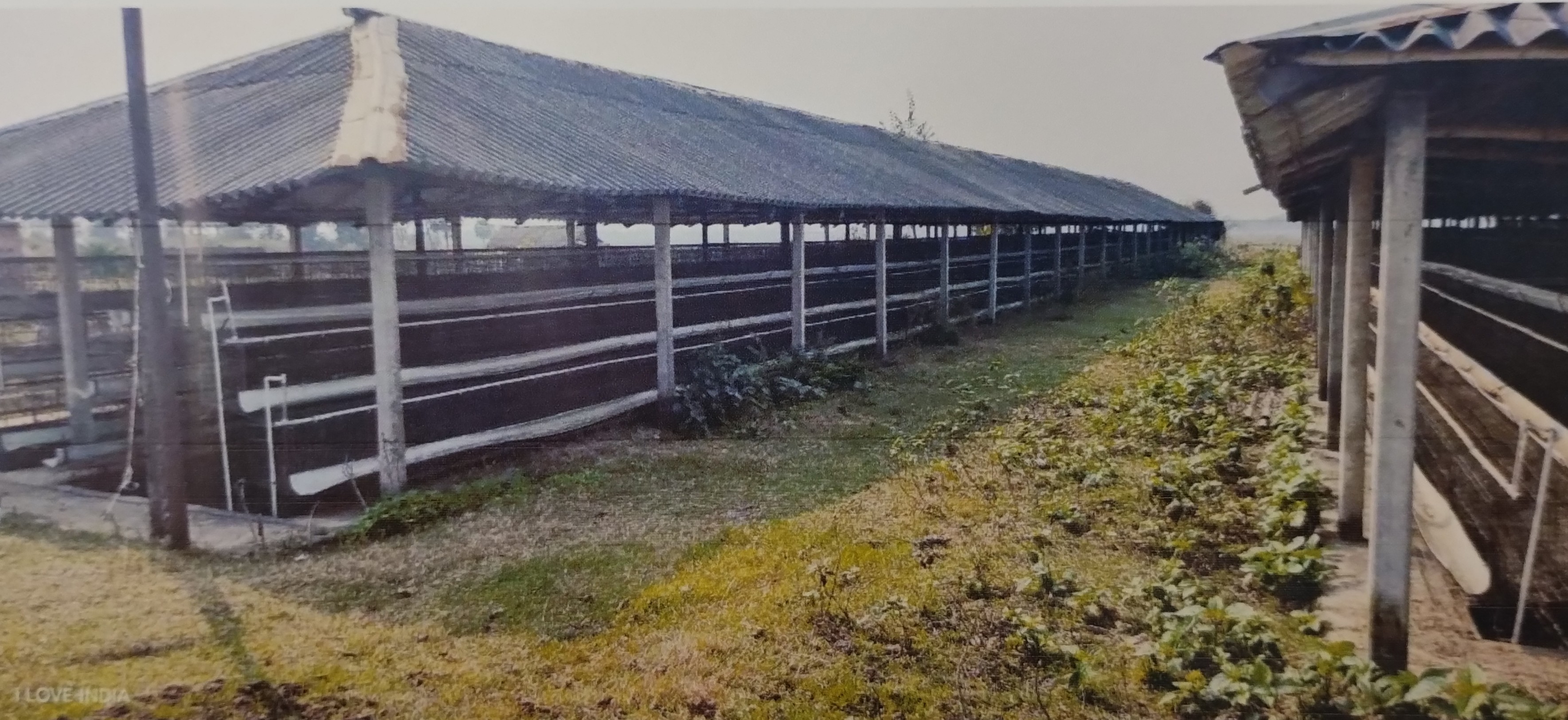 Industrial Shed for sale in Village Road at Sonai, Mahalla- Charaktala, Vill& PO- Sonai Burdwan — photo 3