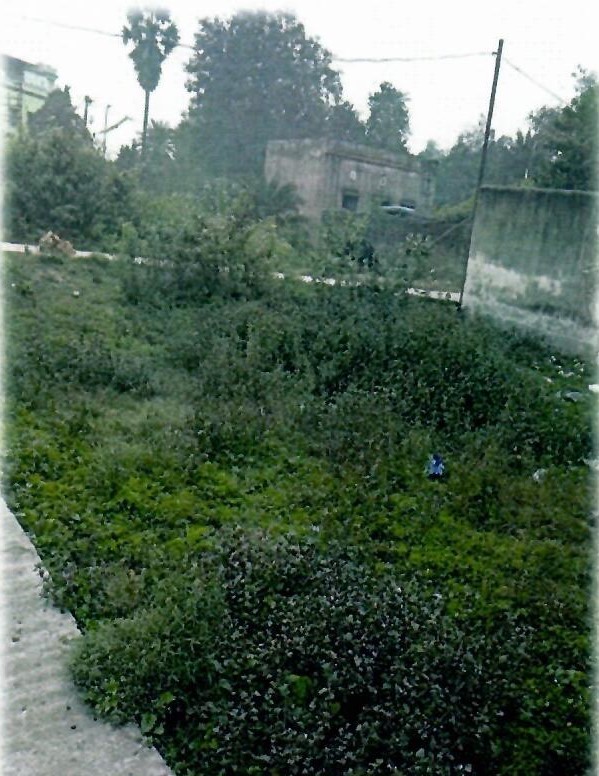Plot for sale in Mouza-Sahebganj, Raniganj Asansol — photo 2