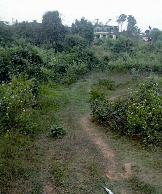 Plot for sale in Mouza-Jemua, P.O. & P.S. Mejia Bankura