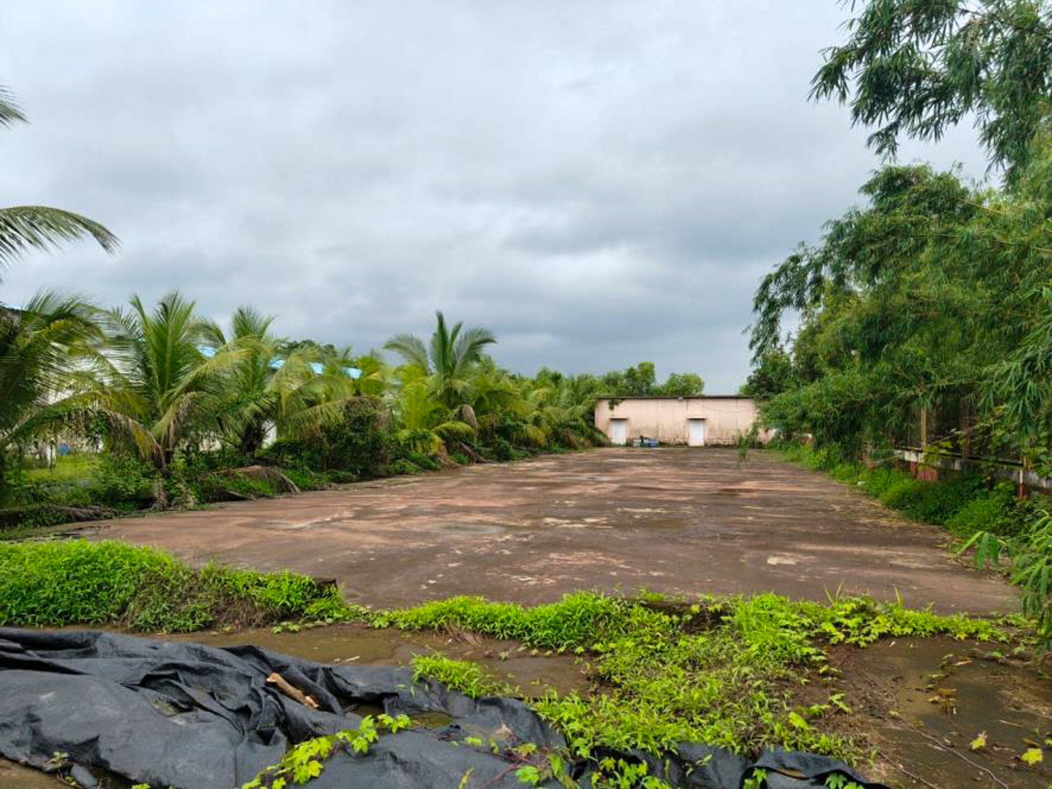 Industrial Shed for sale in Kudal — photo 51