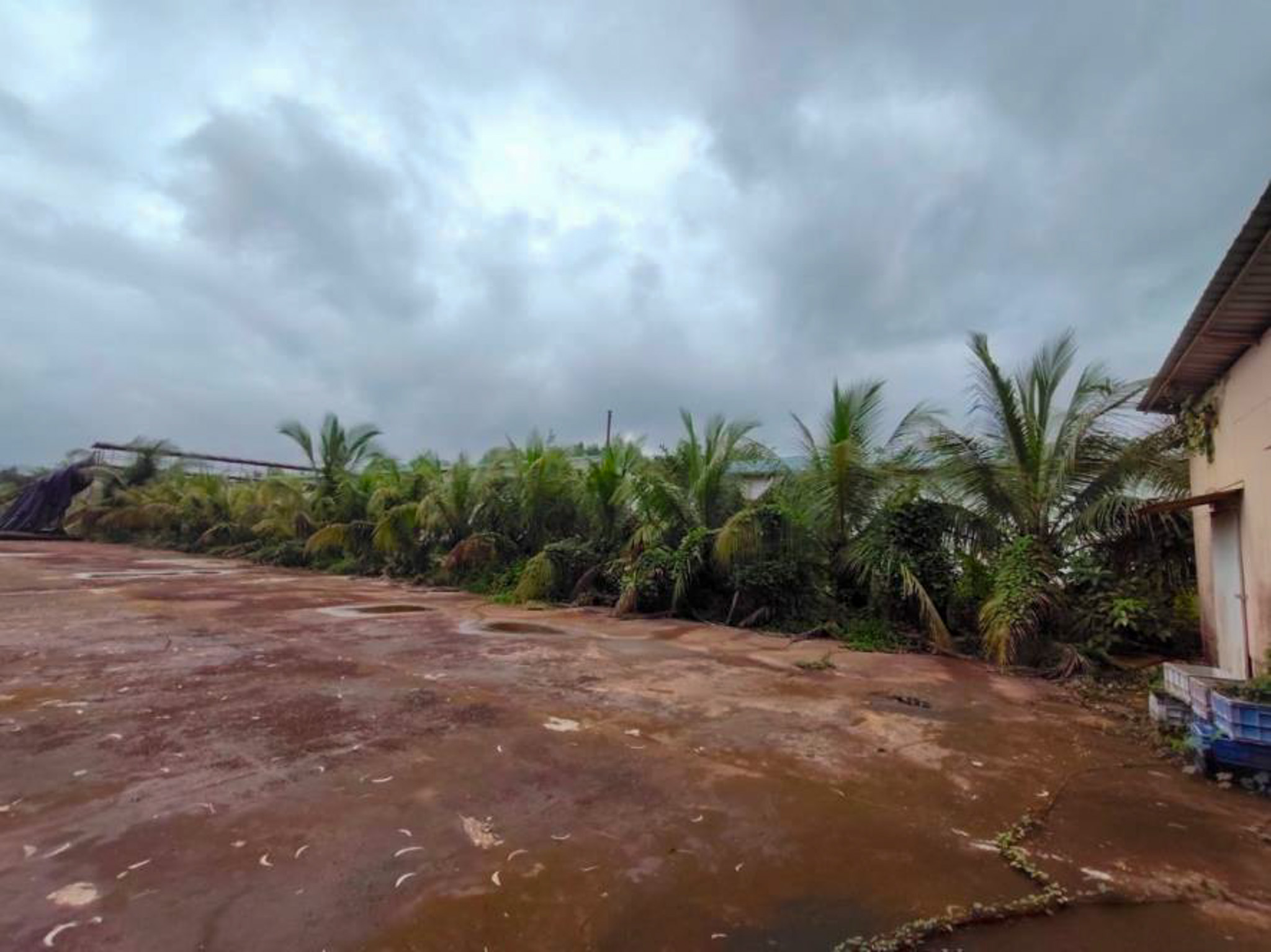 Industrial Shed for sale in Kudal — photo 27
