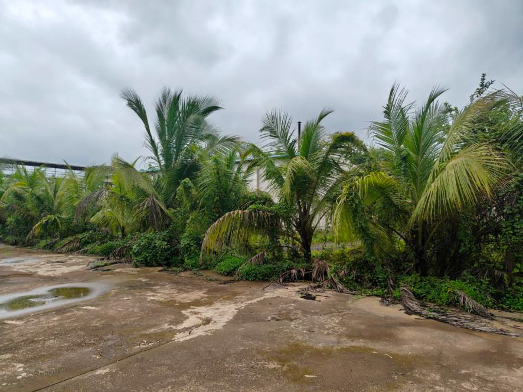 Industrial Shed for sale in Kudal — photo 28