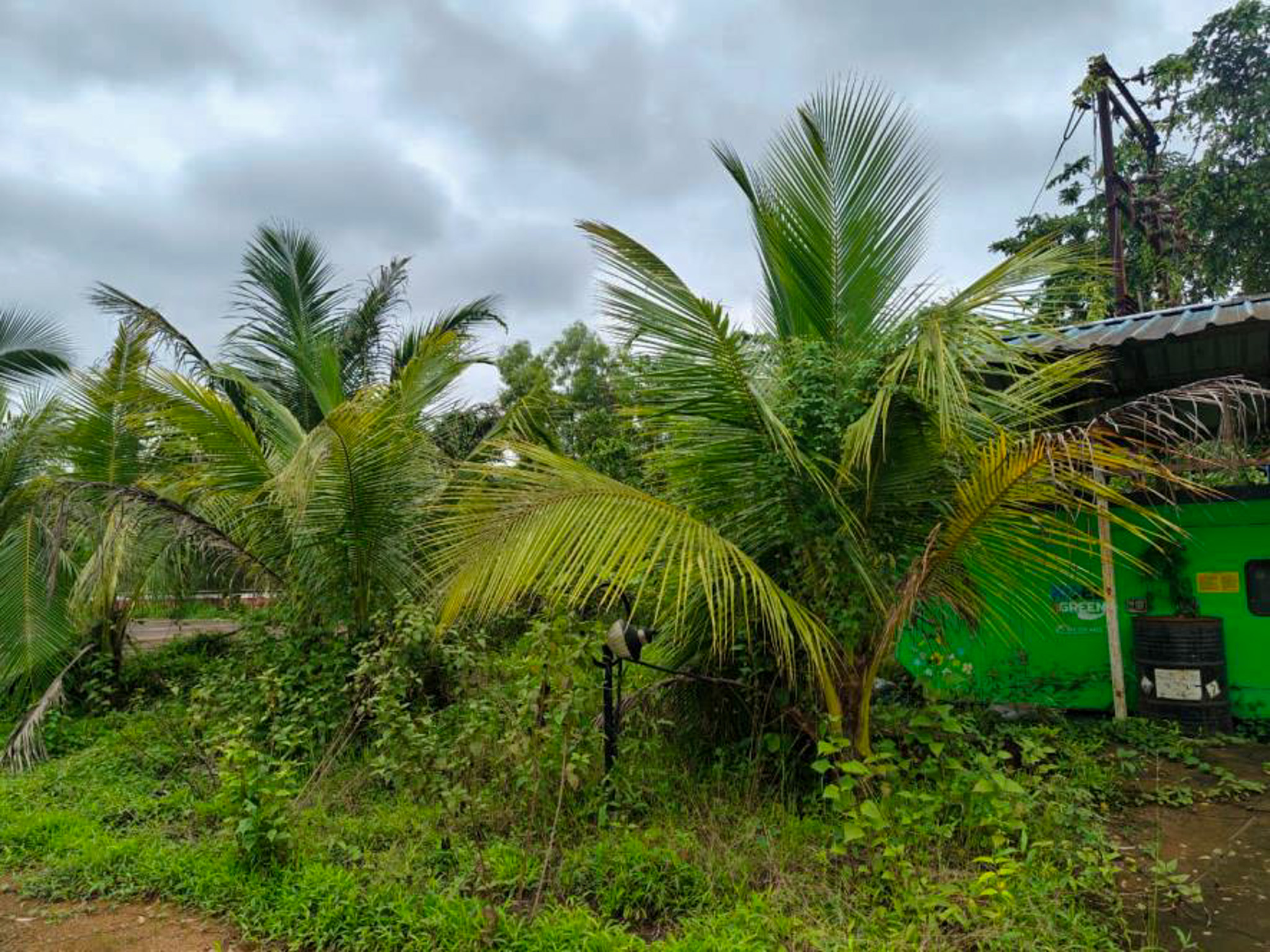 Industrial Shed for sale in Kudal — photo 35