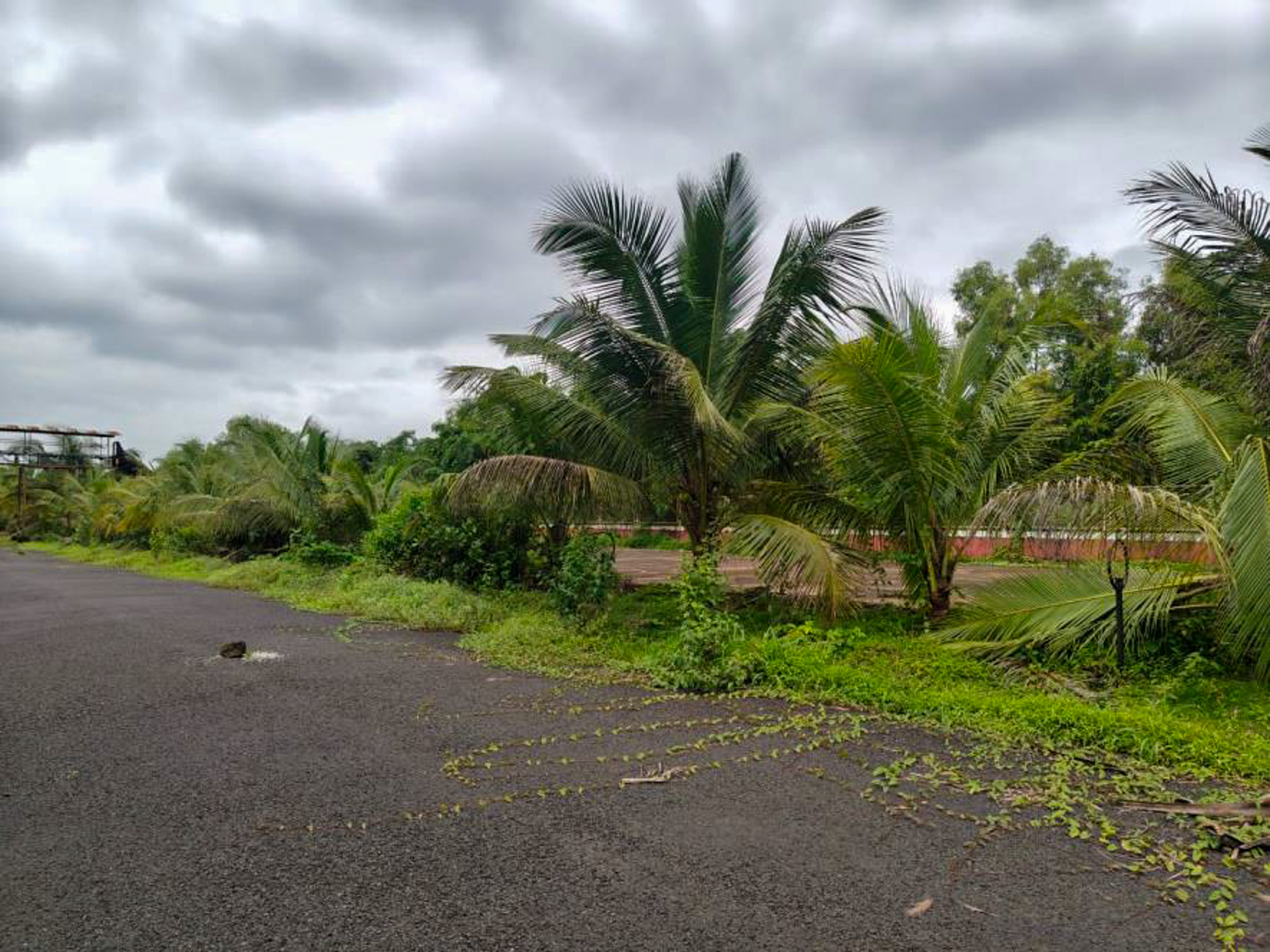Industrial Shed for sale in Kudal — photo 39