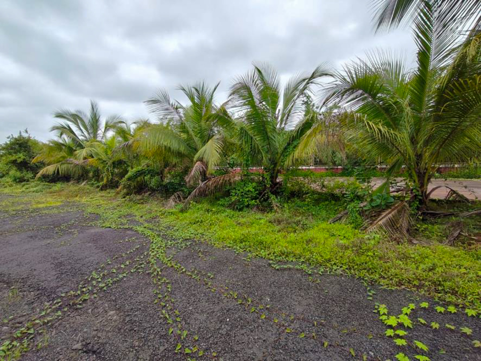 Industrial Shed for sale in Kudal — photo 40