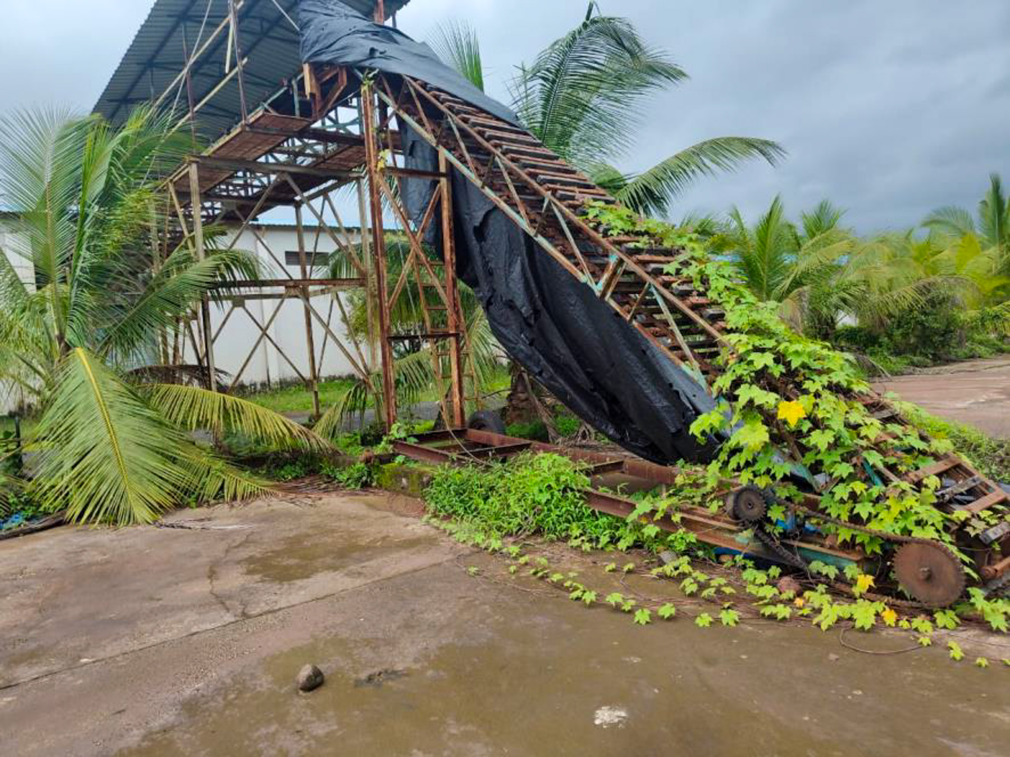 Industrial Shed for sale in Kudal — photo 52
