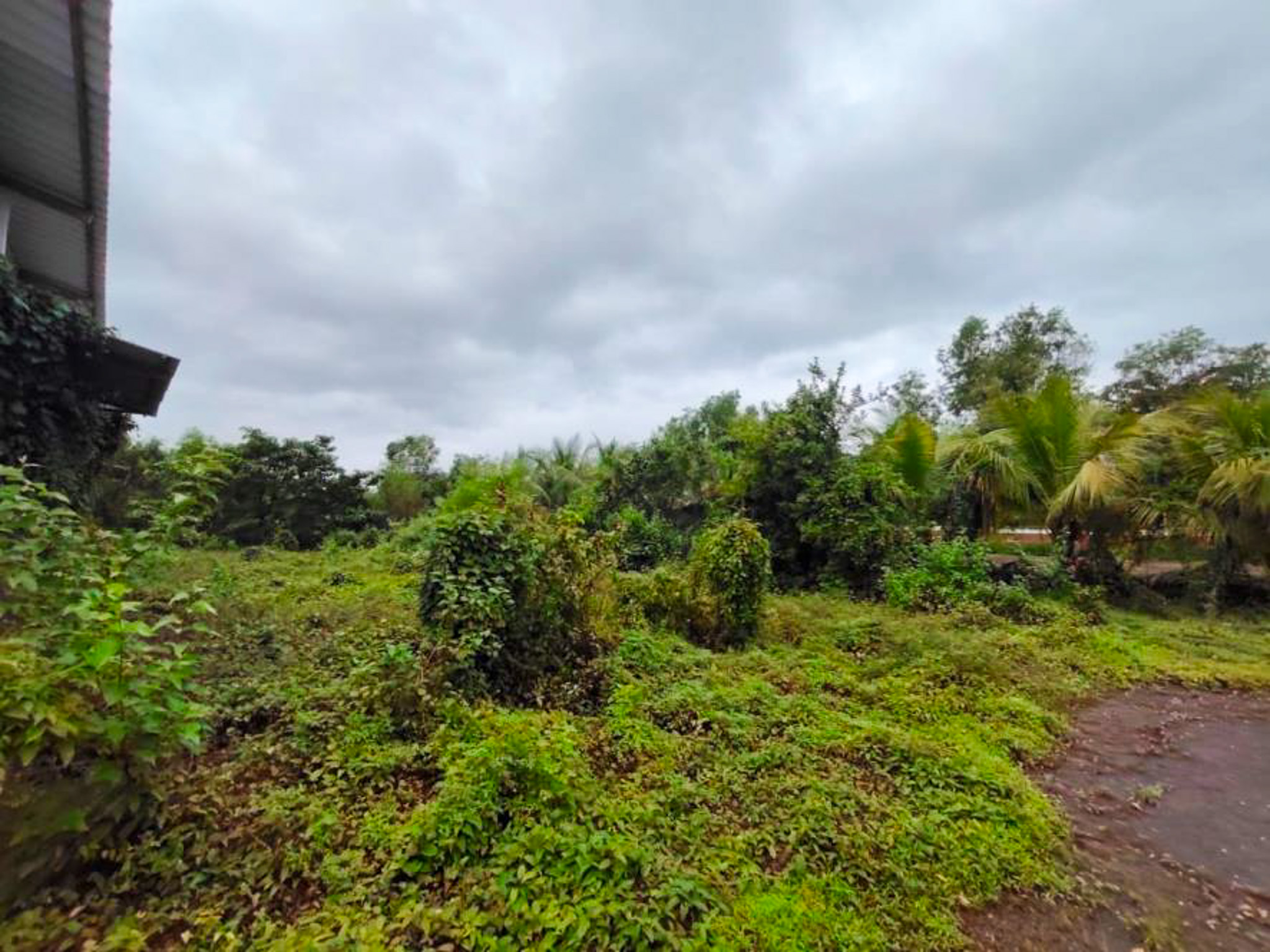 Industrial Shed for sale in Kudal — photo 44