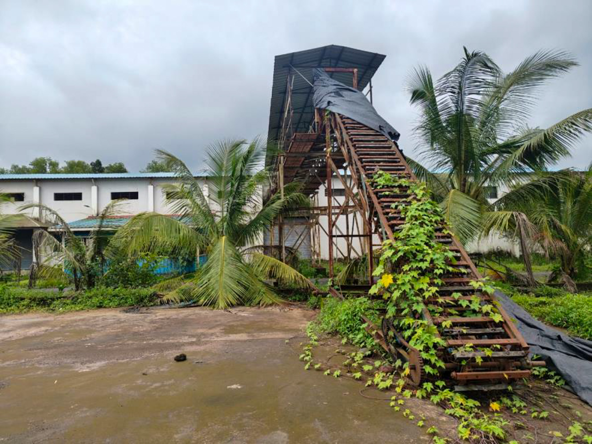 Industrial Shed for sale in Kudal — photo 50