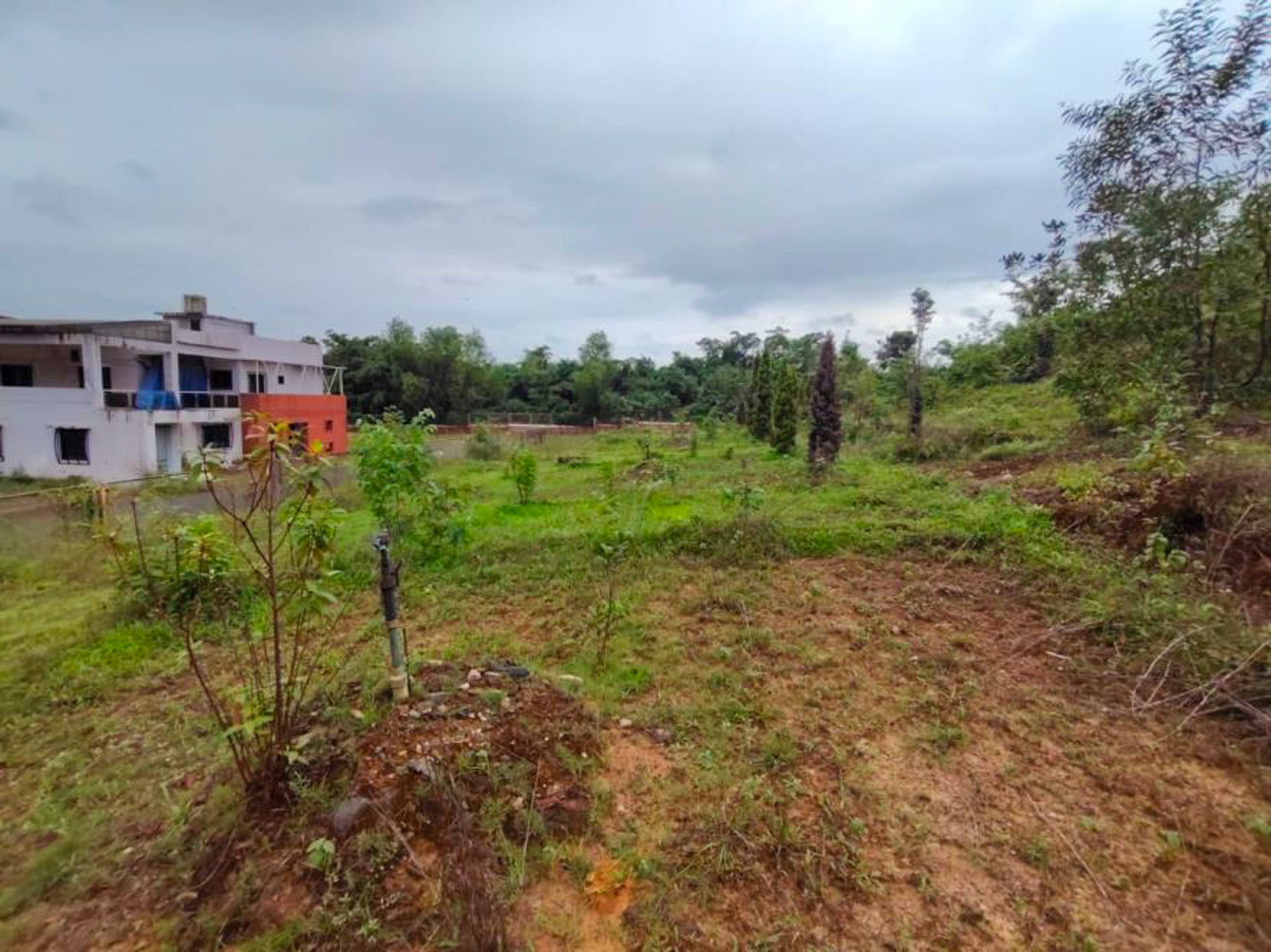 Industrial Shed for sale in Kudal — photo 61