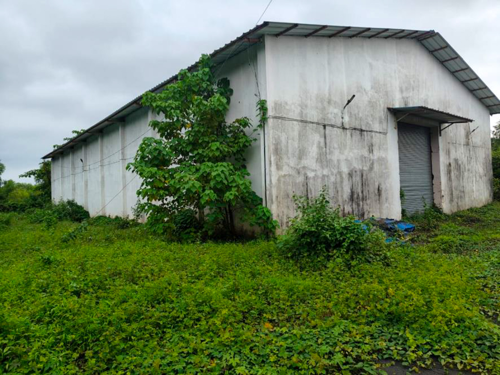 Industrial Shed for sale in Kudal — photo 21