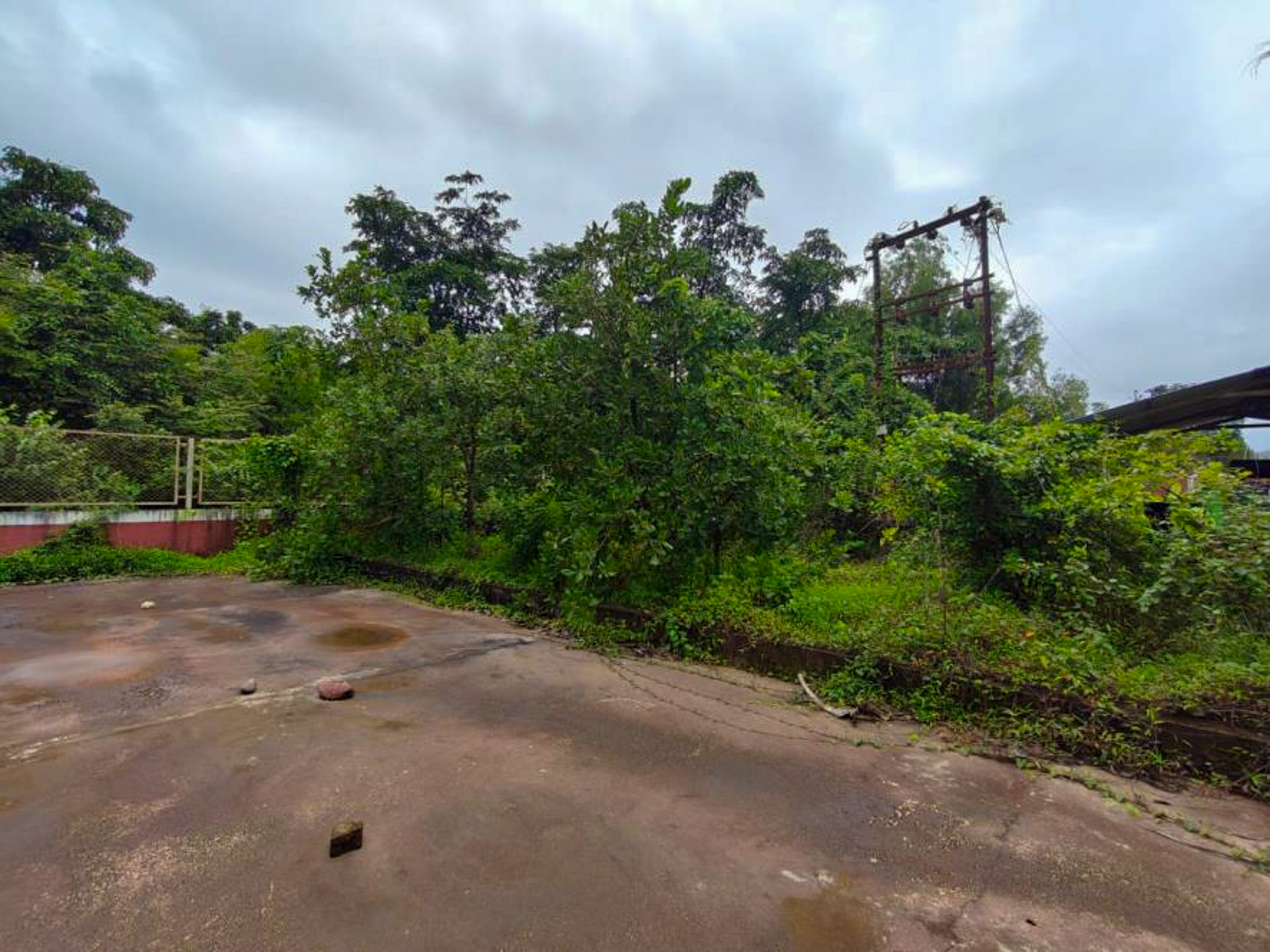 Industrial Shed for sale in Kudal — photo 55