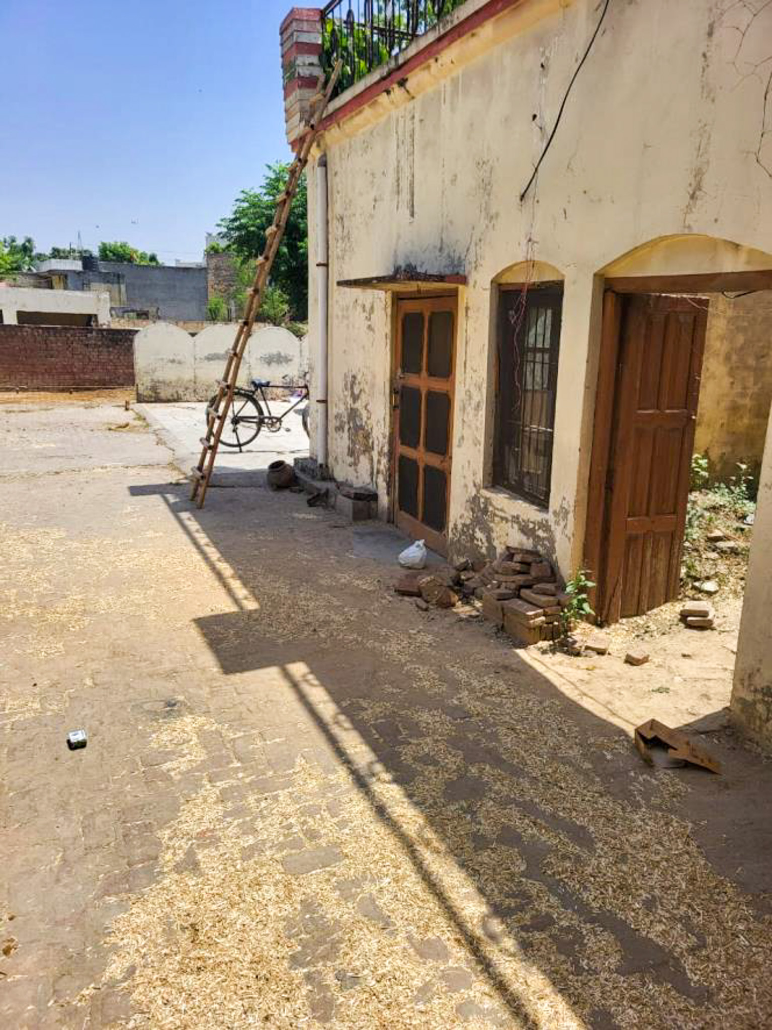 Individual House for sale in Badhi Majra 126 — photo 12