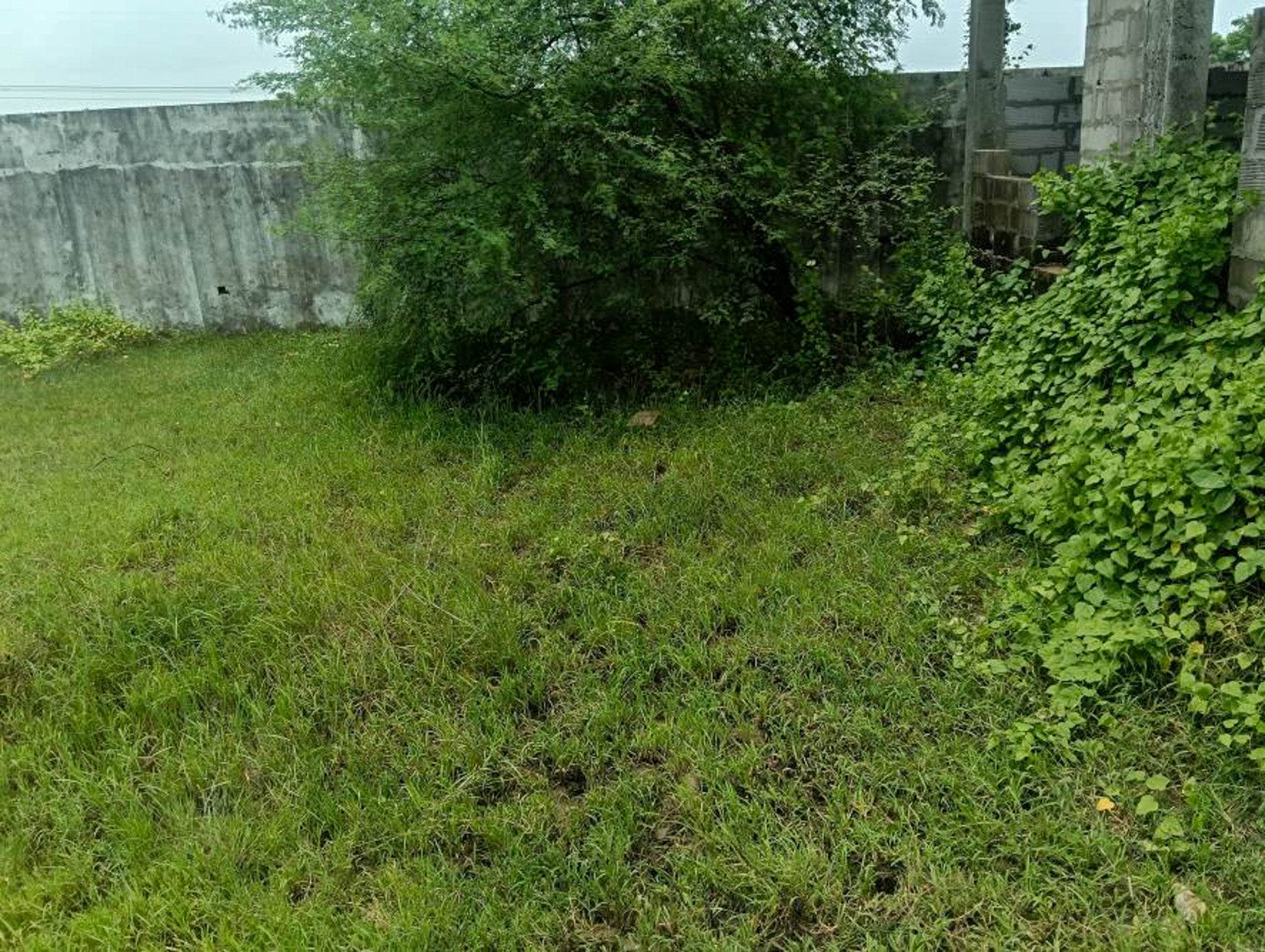 581.61 square meter Bungalow for sale in GAJANANA SCHEME, KUMETHA WAGHODIA VADODARA Vaghodia — photo 13