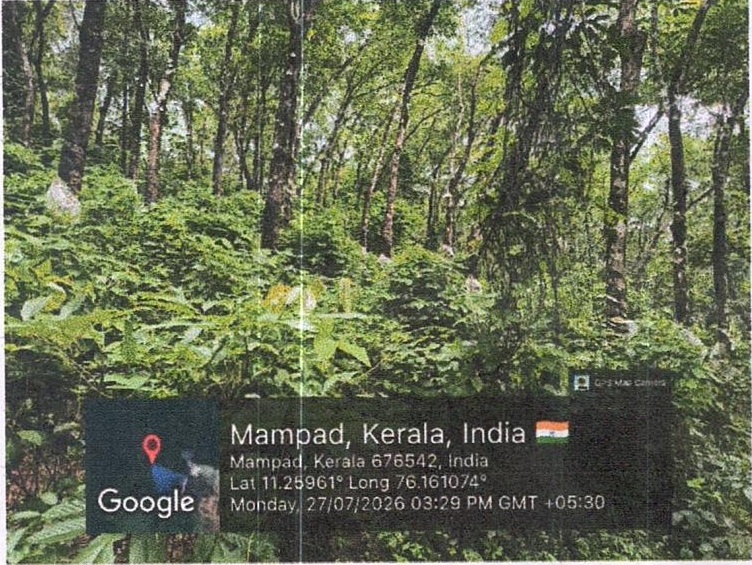 Plot for sale in S G Traders, Pullipadam village Nilambur — photo 2