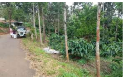 Individual House for sale in MUTTAM Industrial Development Plot Muttom — photo 1