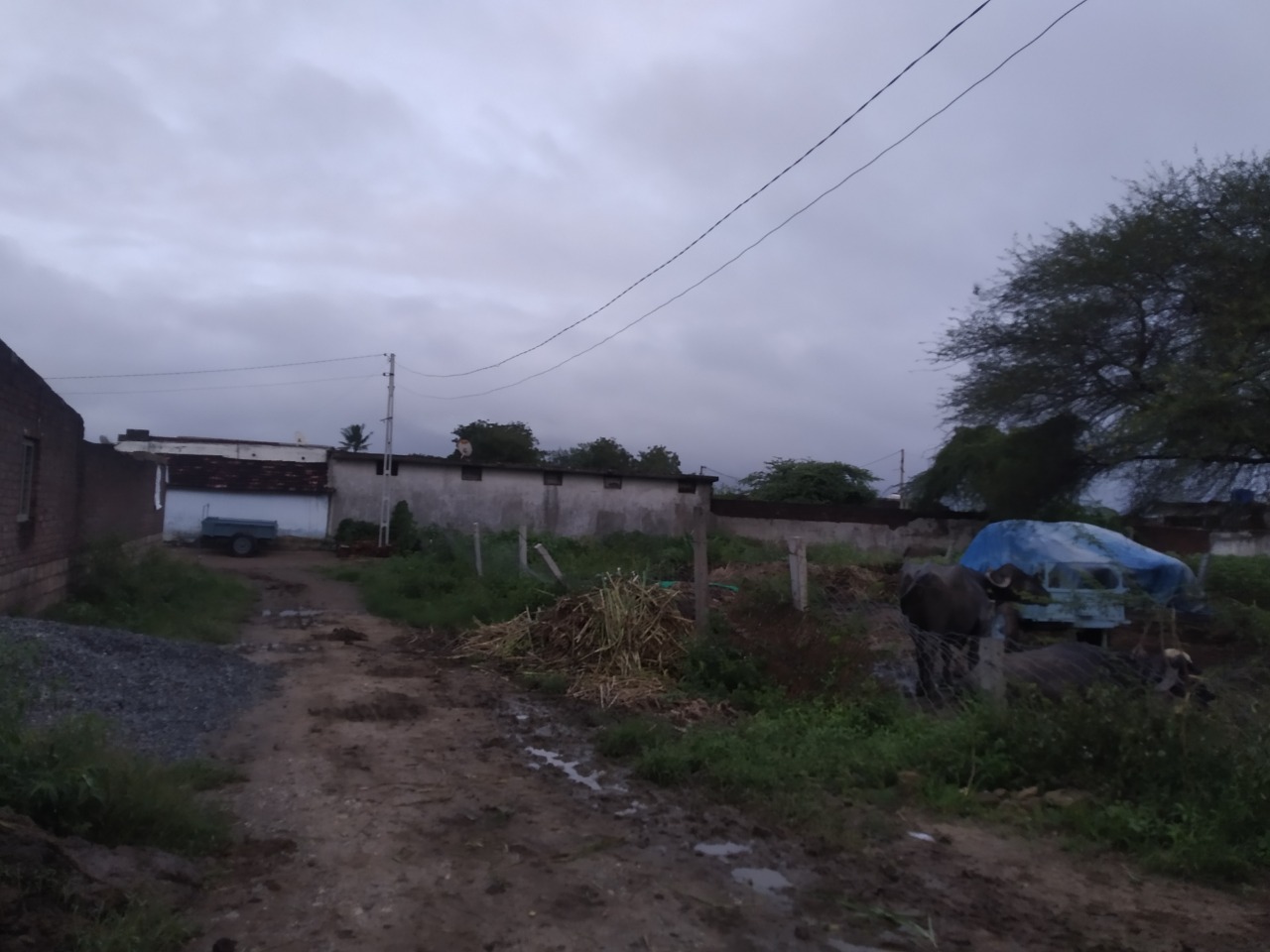 Plot for sale in Amreli — photo 3