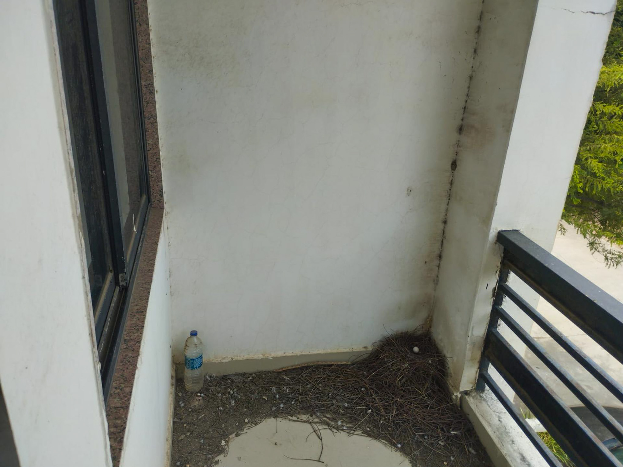 158.92 square meter Bungalow for sale in KULDEV KUTIR, MEHASANA Mahesana — photo 11