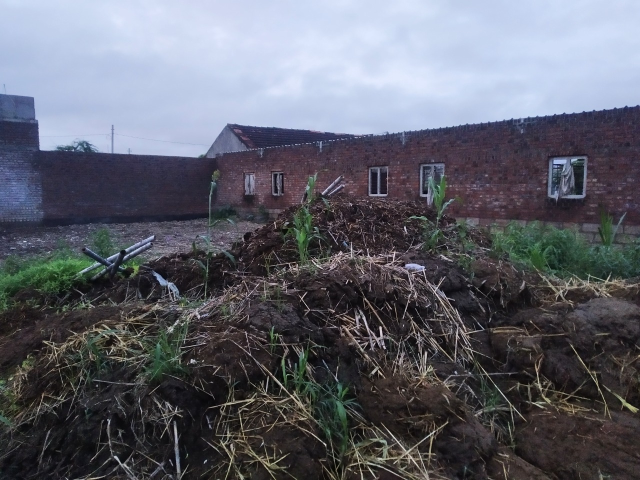 Plot for sale in Amreli — photo 1