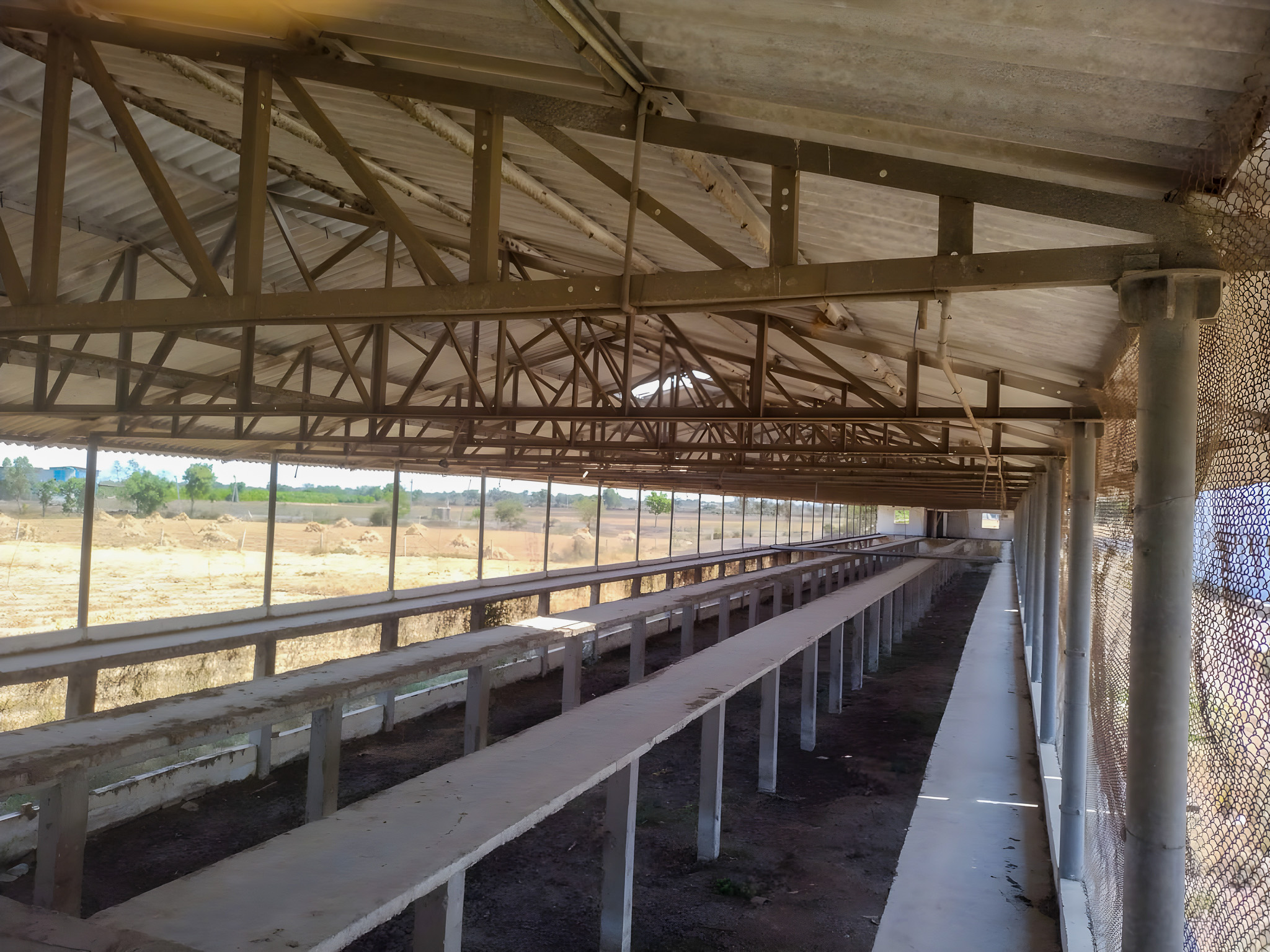 Industrial Plot with Factory Building for sale in MAHUVA Katpar — photo 4