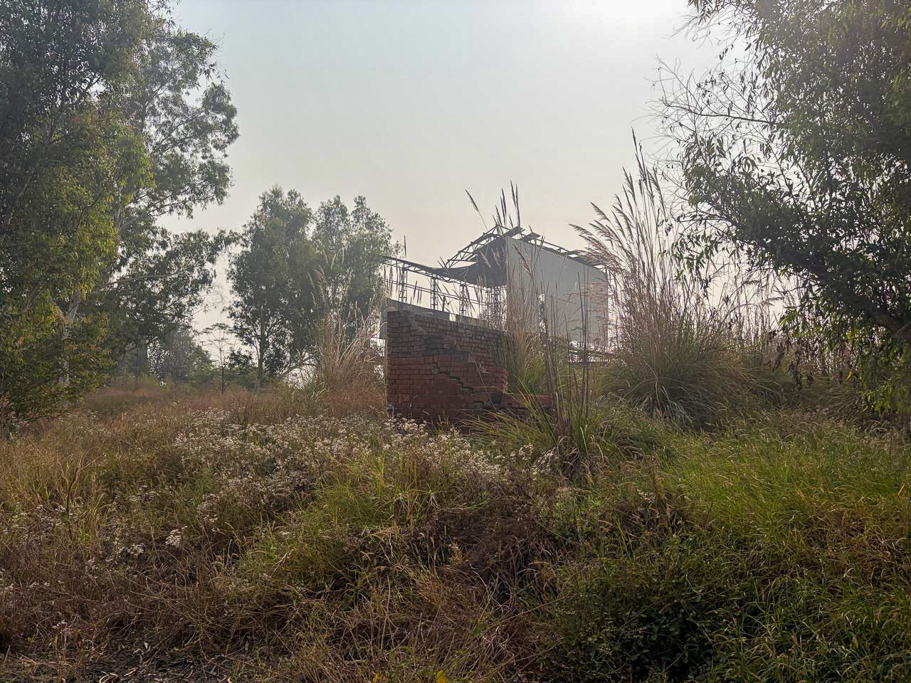 Industrial Plot with Factory Building for sale in GOLEWALA Faridkot — photo 17