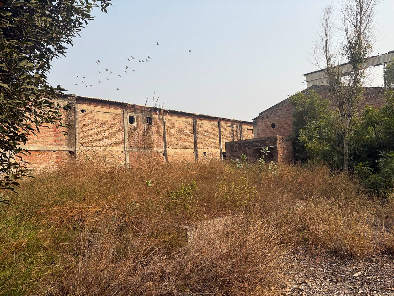 Industrial Plot with Factory Building for sale in GOLEWALA Faridkot — photo 21